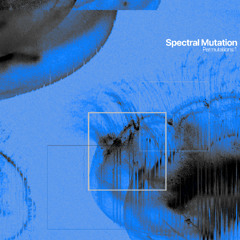 Various Artists - Permutations 1 [Previews]