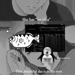 IDE