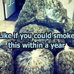 dreamland + leesta - colorado  (24GET)