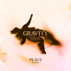 Martin Garrix - Gravity (Plauz Bootleg)