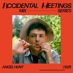 AM-025 - Angel Hunt