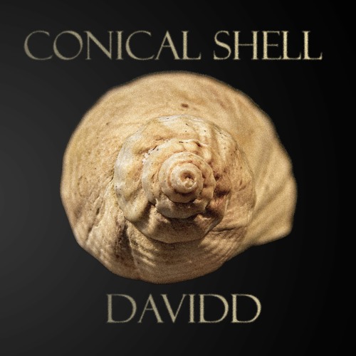 Conical Shell