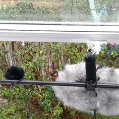 AB54cm Vs Quasi-Binaural