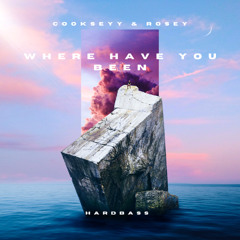 Cooksey & Rosey - Where Have You Been (HARDBASS)