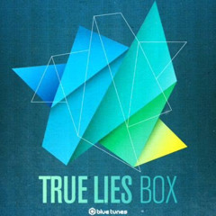 True Lies Mix