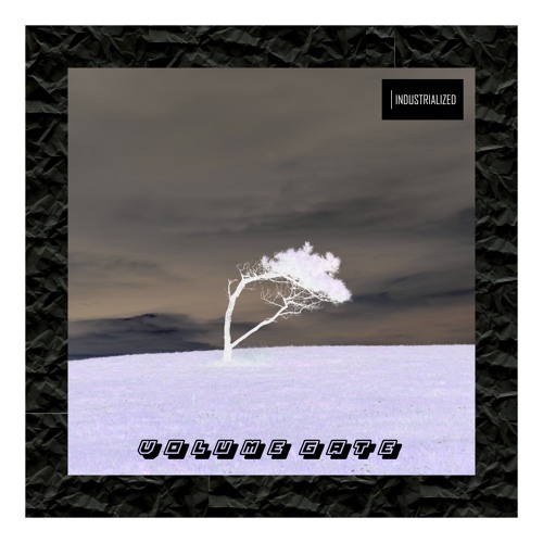 ALYA7H - Volume Gate [STX Remix]