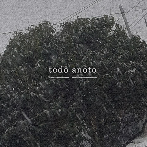 Todo Anoto