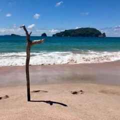 The Ocean (Led Zeppelin)