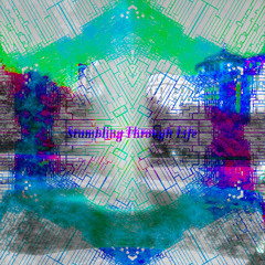 Labrat Nomad - Stumbling Through Life