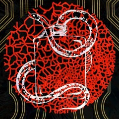 Лжедмитрий IV  Никто