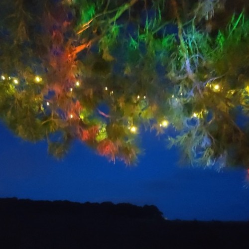 MINI OPEN in September forest 2020 Pt.1 mixed by Glib Danylenko