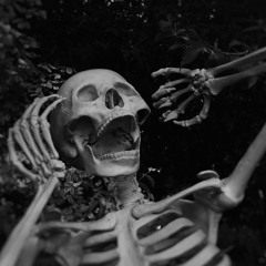 TSHP - Chaka Zero (Test)