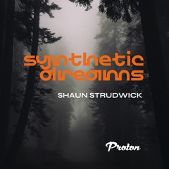 Synthetic Dreams 017