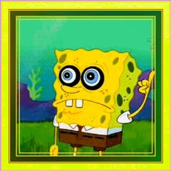 WM🦆#1076🦚🌺🦜🌾🎋🌿🪿🪺🦩🪷🦤