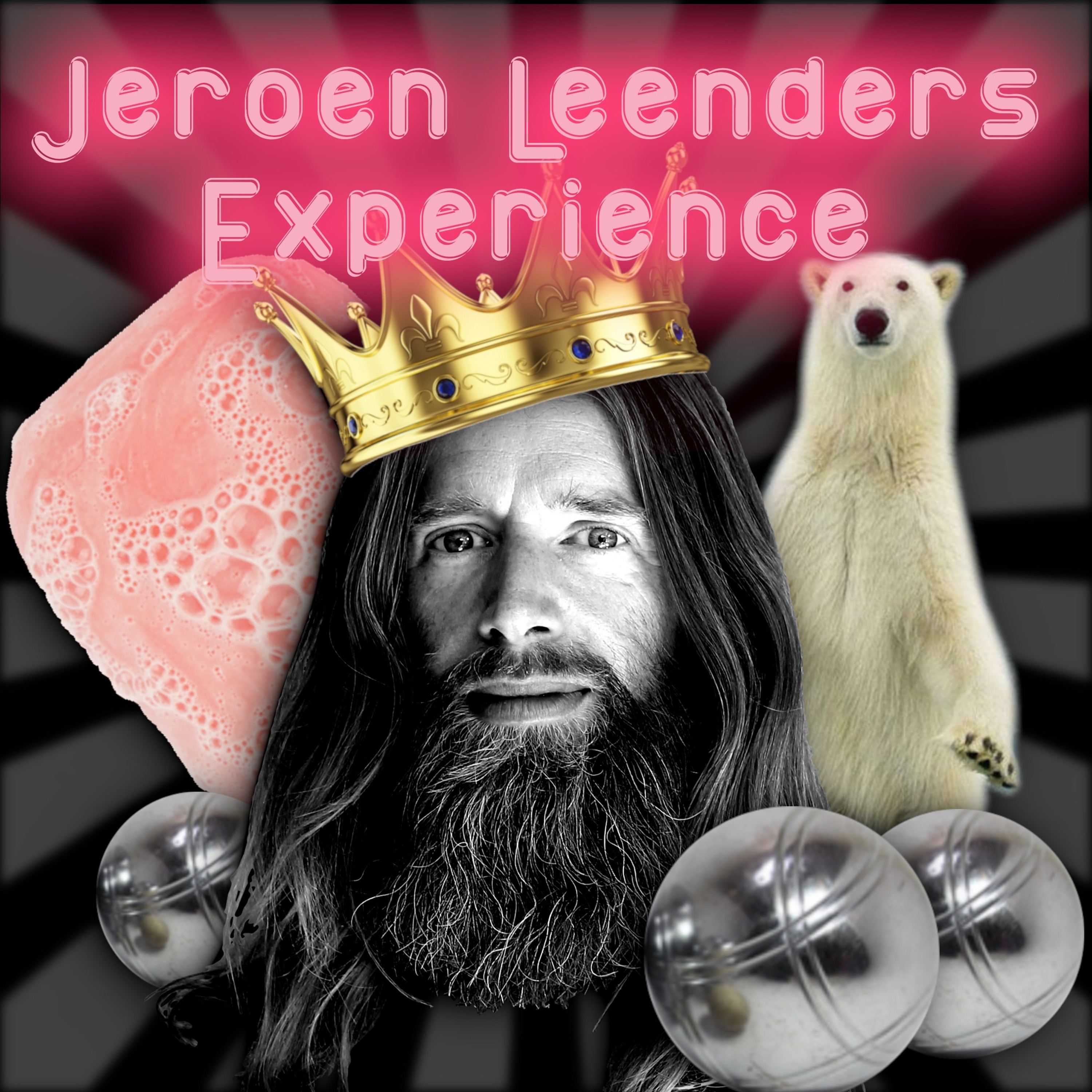Jeroen Leenders Experience