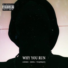 WHY YOU RUN (ft 18SNL and Teqnique)