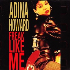 Adina Howard - Freak Like Me (Adled Reggae Remix)