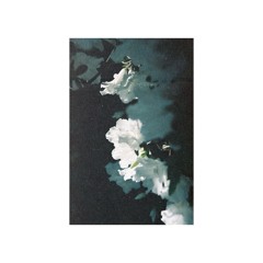 • CSR009 • Nørus 'Innature' •  OUT NOW!