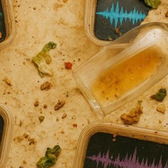 _loop_17.5_221120251956