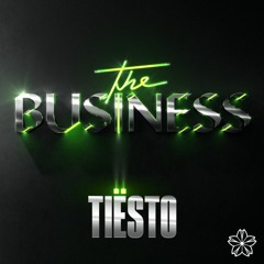 Tiësto - The Business (Seizo Remix)