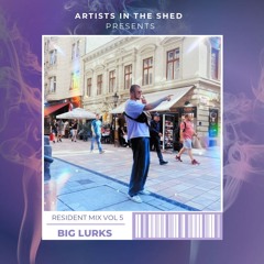 Resident Mix Vol 5 - Big Lurks
