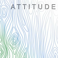 Attitude