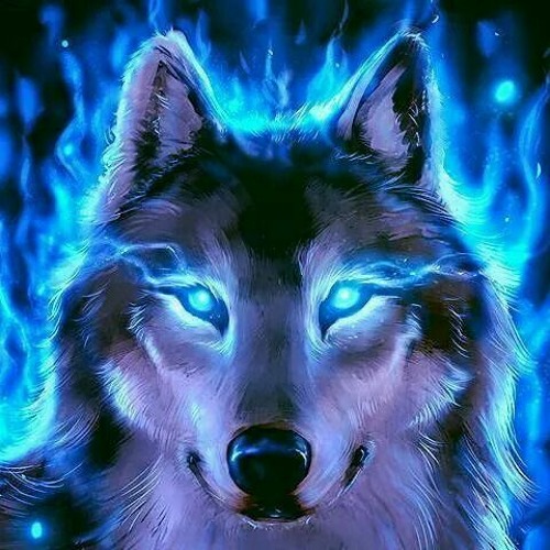 Wolf electric deals