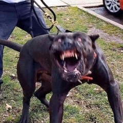 Muscle Up (Hot N Ready Remix)