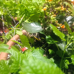 Para mi querido amigo Urko, cumpliendo años juntos...