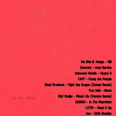 12.06.2025 - Home Mix, Van Schaick Island, NY