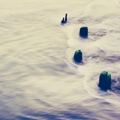 Flow Motion