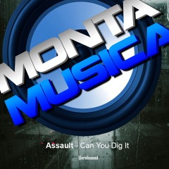 Assault - Can You Dig It