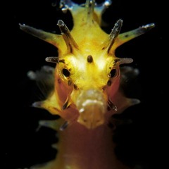 O p e n _ _ s l o t - D r a m a t i c _ m o m e n t