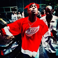 TRIPPEN FEAT.STAINGANGSPIDA & SLINK 4RM 2X