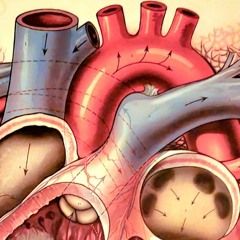 Må - featuring T~O Smooth