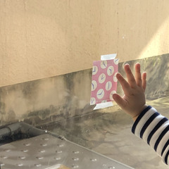 ちょちちょちあわわ