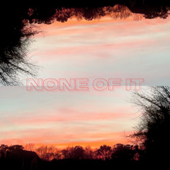 none of it (prod. afterlife x irby)