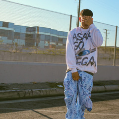Moneysign Suede x Doggfatherpoloh UP unreleased