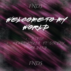 FNDS - Birth [FREE DL]
