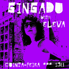 ELEVA | GINGADU @FunctionFM 10.04.2025