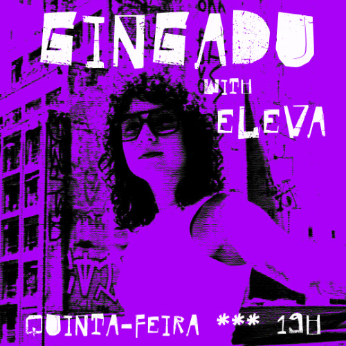 ELEVA | GINGADU @FunctionFM 10.04.2025