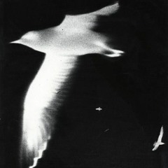 OPIRE - lost