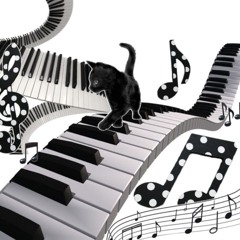 picture perfect (prod. 1jowsen)