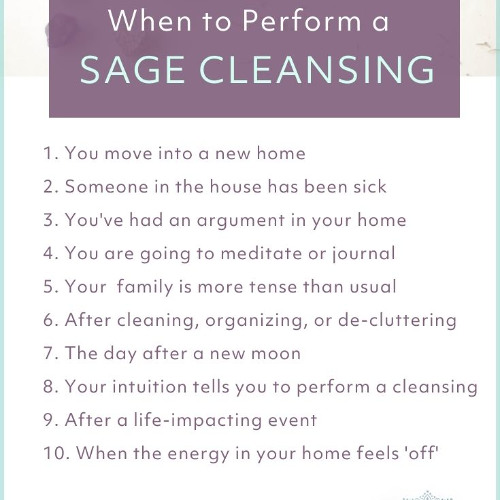 Sage the Room LDSR 210 2