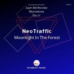 NeoTraffic - Moonlight (Monostone Remix) [Ekabeat Music]