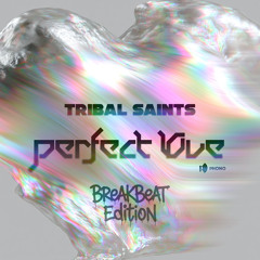 Perfect Love (Breakbeat Edition)