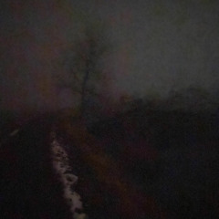 Disappear - Zink