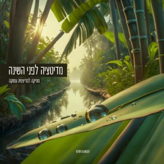 מדיטציה לפני השינה מוזיקה למדיטציה עמוקה