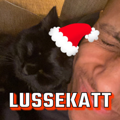 Lussekatt