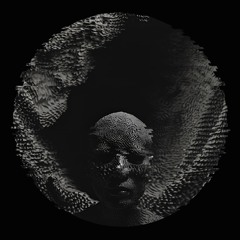 GOLDEN TEACHER [FREE DL]